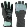 SINNER - Tremblant Glove - Grijs 1 SINNER - Tremblant Glove - Grijs -Ski And Snow Gear 061771 900 1 1