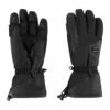 SINNER - Alps Glove - Black/Black/White -Ski And Snow Gear 061785 999 1 1